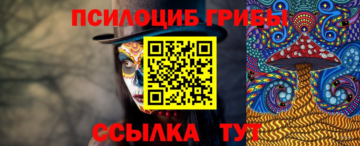 Псилоцибиновые грибы Cubensis Нальчик