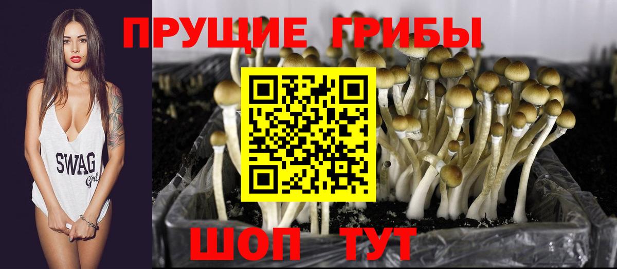 Нальчик  продажа наркотиков  Вход с VPN  Галлюциногенные грибы Magic Shrooms 